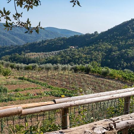 Poggio Al Mandorlo Greve in Chianti Exterior foto