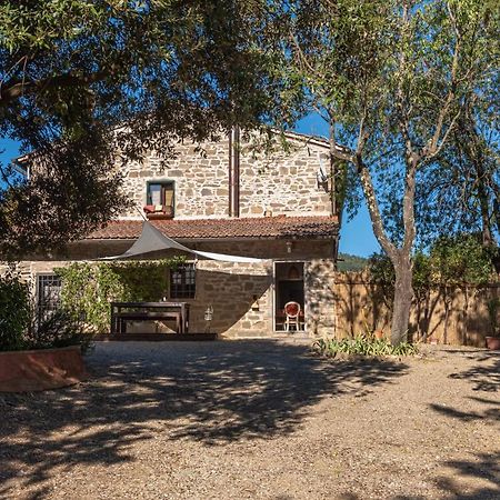 Poggio Al Mandorlo Greve in Chianti Exterior foto