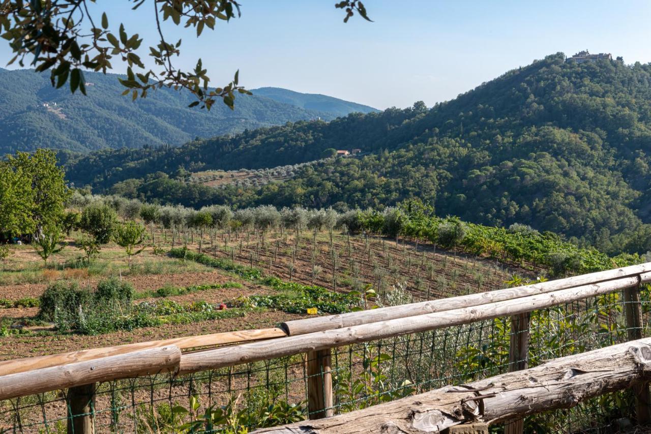 Poggio Al Mandorlo Greve in Chianti Exterior foto